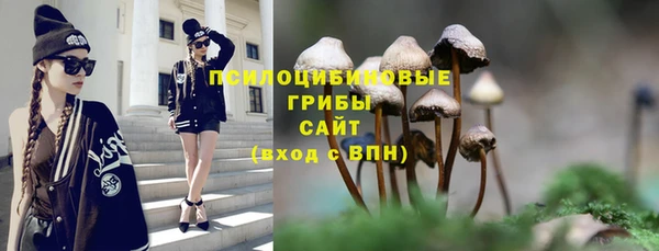 ALPHA-PVP Гусиноозёрск