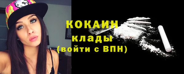 винт Дмитриев