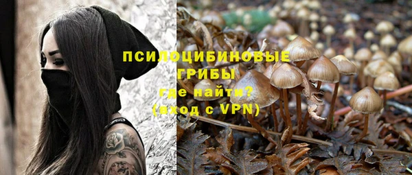 винт Дмитриев