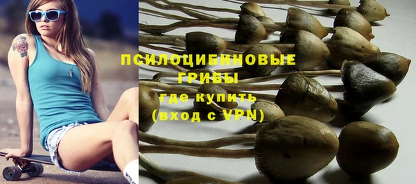 ALPHA PVP Дмитров